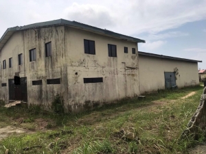 Warehouse For Sale On 1,000m² Land Warehouse for Sale Ajah Lagos Vetra  Property