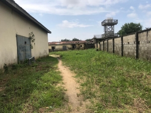 Image 1 Title