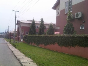 Image 1 Title