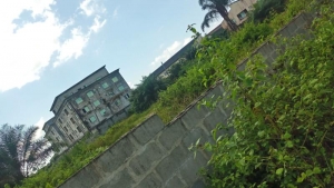 Dry Land Measuring 6,250m² For Urgent Sale 6,250 Meter Square of Land for Sale Ajah Lagos Vetra  Property