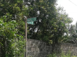 Image 1 Title