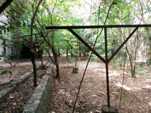 Image 1 Title