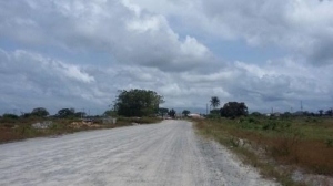 Image 1 Title