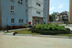 Image 1 Title