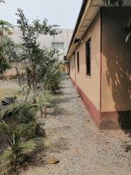 Image 1 Title