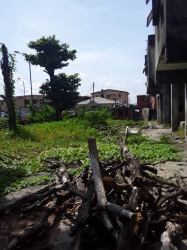 Dry Land On Tarred Road In Aguda Surulere 4 Plots of Land for Sale Surulere Lagos Vetra  Property
